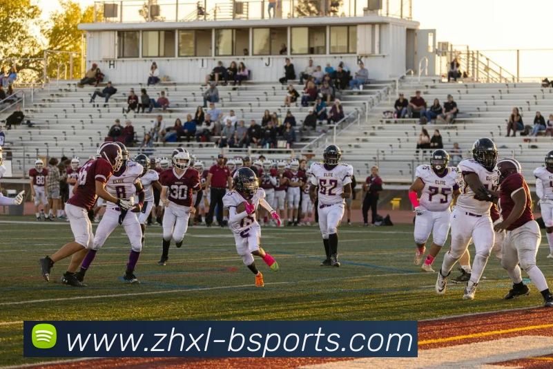 B体育BsportsAPP 封面图